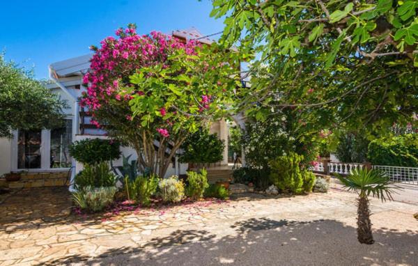 Apartment "Marija" - Otok Vir Exterior photo